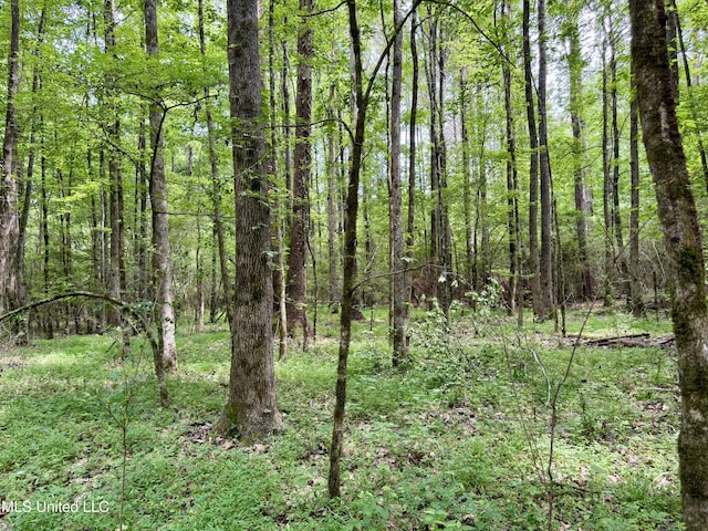 Stephens Rd, Durant, MS 39063