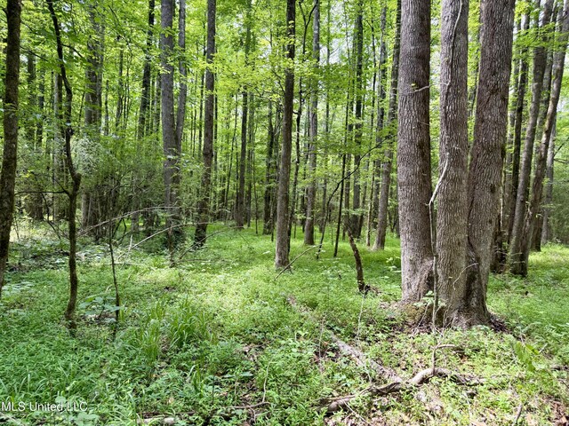 Stephens Rd, Durant, MS 39063