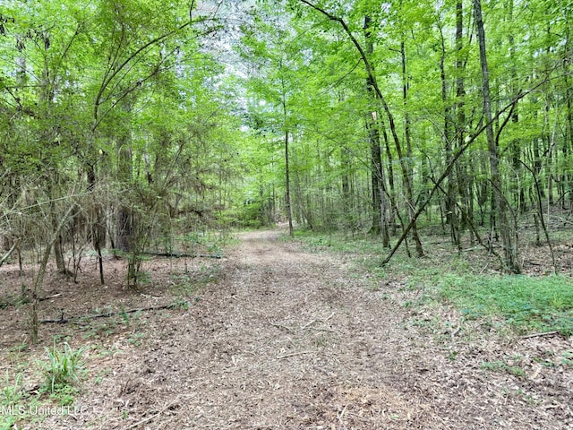 Stephens Rd, Durant, MS 39063