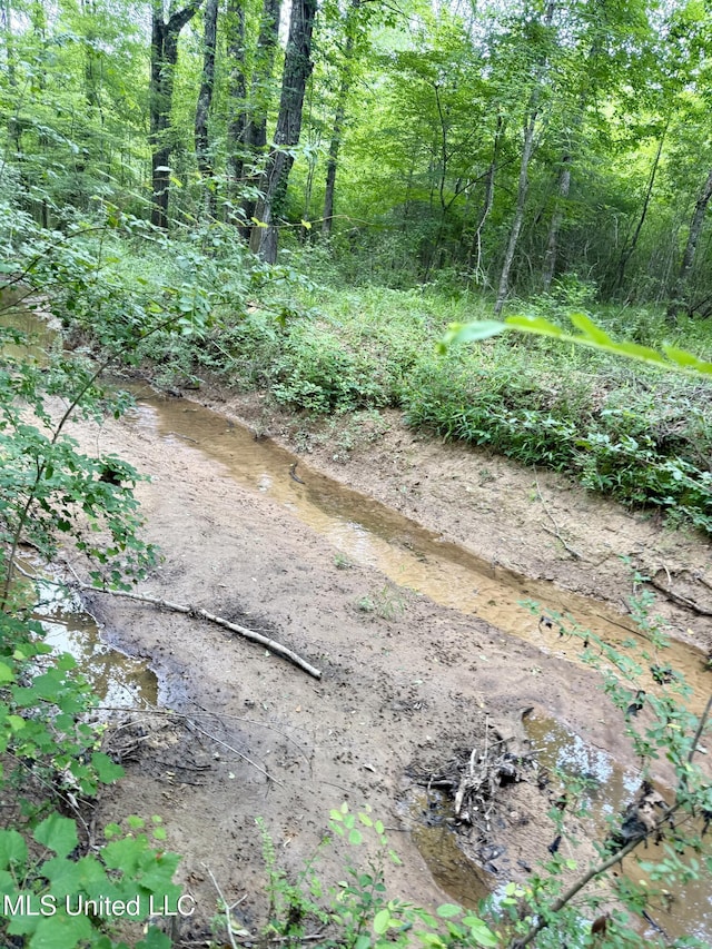 Stephens Rd, Durant, MS 39063
