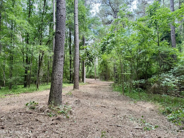Stephens Rd, Durant, MS 39063