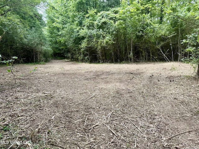 Stephens Rd, Durant, MS 39063