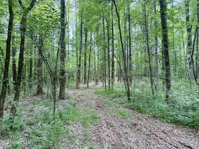 Stephens Rd, Durant, MS 39063