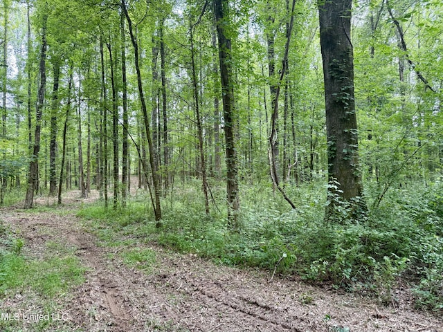 Stephens Rd, Durant, MS 39063