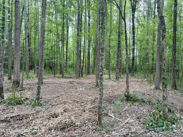 Stephens Rd, Durant, MS 39063