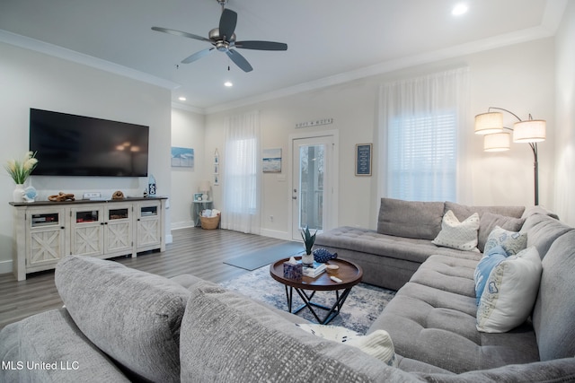 living room featuring ornamental molding, wood-type flooring, and ceiling fan