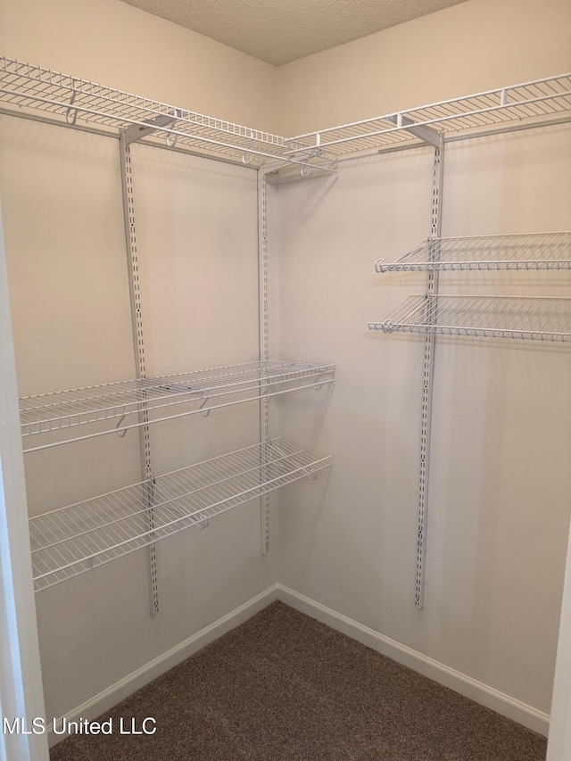 spacious closet with carpet floors