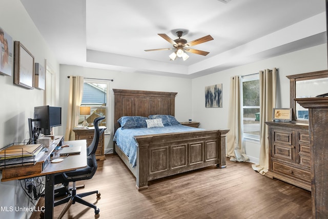 bedroom with a tray ceiling, multiple windows, and wood finished floors