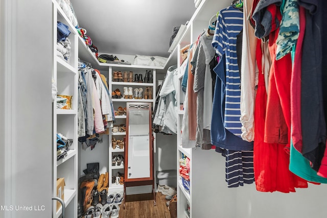 spacious closet with wood finished floors