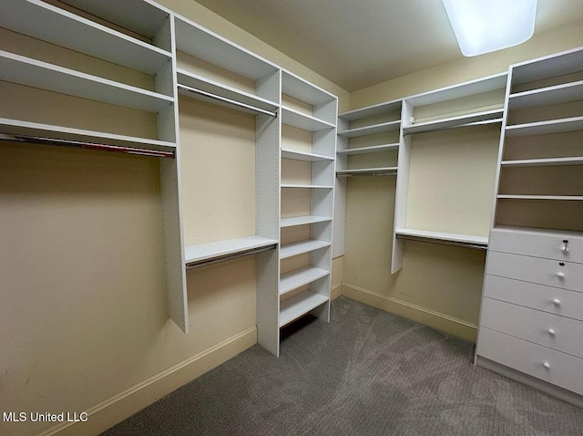 walk in closet featuring dark colored carpet