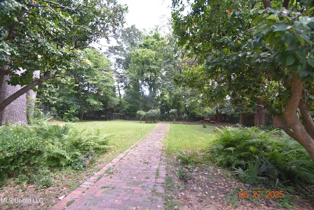 1211 River Rd, Greenwood, MS 38930 - view of yard