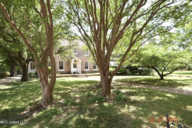 1211 River Rd, Greenwood, MS 38930 - view of front of home featuring brick siding and a front lawn