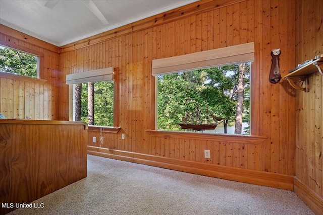 unfurnished room with carpet floors and wooden walls