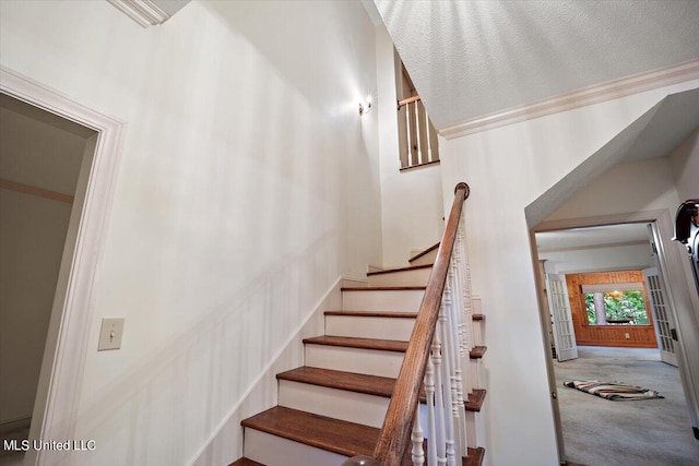 staircase with carpet flooring and a textured ceiling