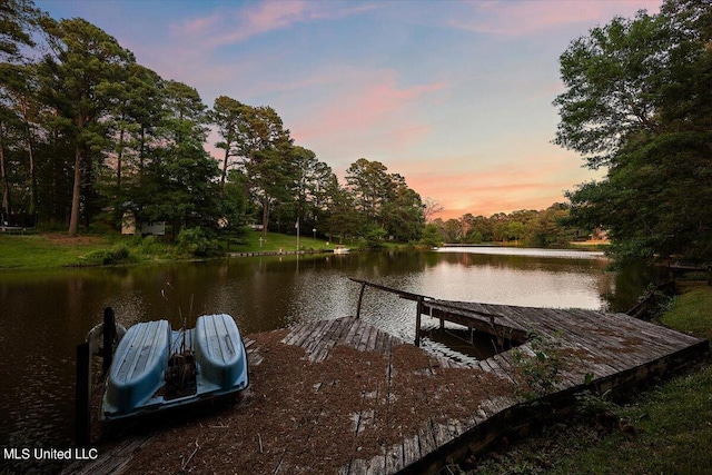 dock area featuring a water view