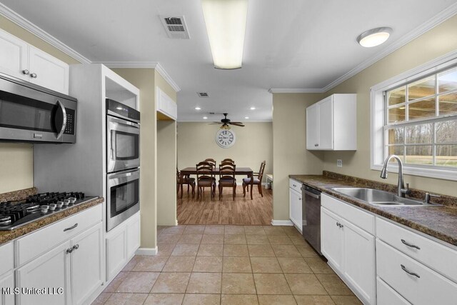 1144 Little Big Mound Rd, Bentonia, MS 39040 - kitchen featuring crown molding, a sink, ceiling fan, visible vents, and appliances with stainless steel finishes