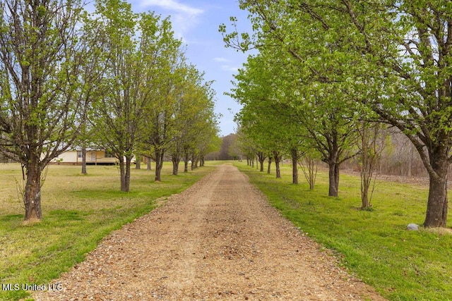 1144 Little Big Mound Rd, Bentonia, MS 39040 - view of home's community with a lawn and dirt driveway