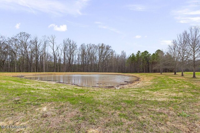 1144 Little Big Mound Rd, Bentonia, MS 39040 - property view of water with a forest view