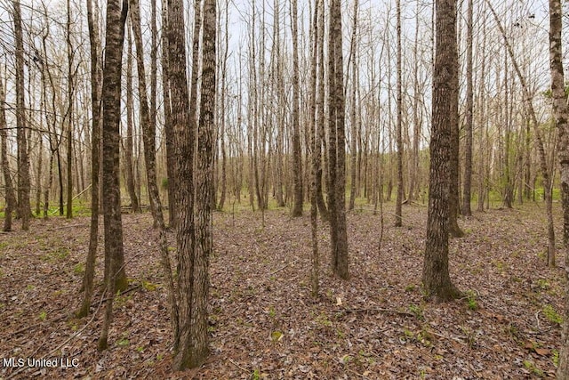 1144 Little Big Mound Rd, Bentonia, MS 39040 - view of landscape