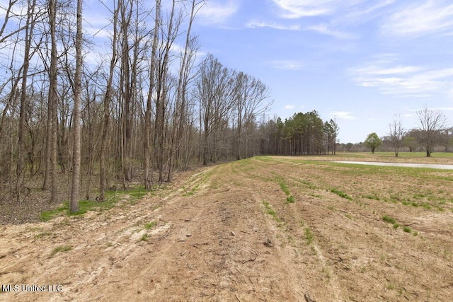 1144 Little Big Mound Rd, Bentonia, MS 39040 - view of nature