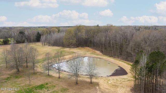1144 Little Big Mound Rd, Bentonia, MS 39040 - aerial view with a water view and a view of trees