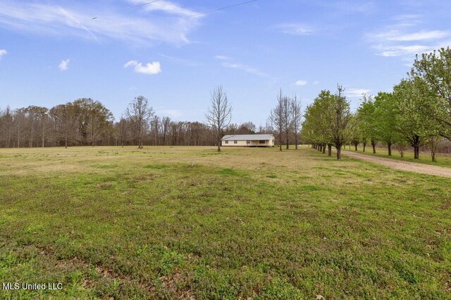 1144 Little Big Mound Rd, Bentonia, MS 39040 - view of yard featuring driveway and a rural view