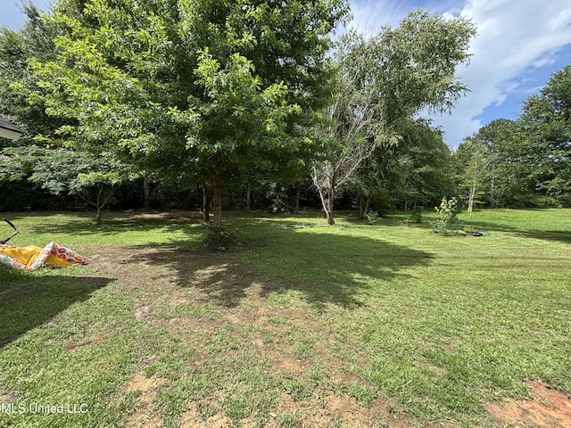 706 Anchor Lake Rd, Carriere, MS 39426 - view of grassy yard