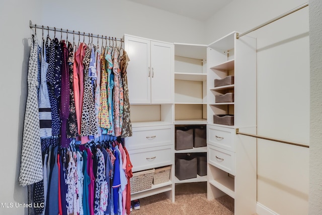 15581 Ollie Ln, Biloxi, MS 39532 - walk in closet with carpet flooring