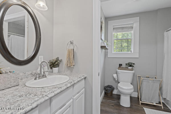 284 Osborn Moody Rd, Poplarville, MS 39470 - full bath featuring wood finished floors, vanity, toilet, and baseboards