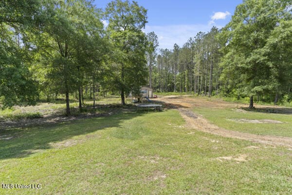284 Osborn Moody Rd, Poplarville, MS 39470 - view of green lawn
