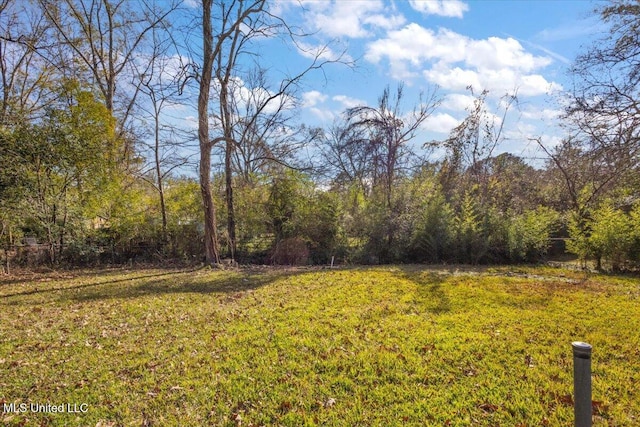 1399 Dorgan St, Jackson, MS 39204 - view of yard
