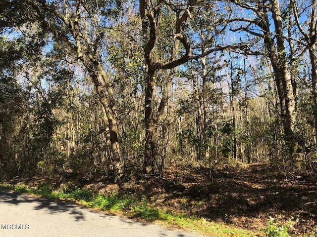 LOT19 S 2nd St, Ocean Springs MS, 39564 land for sale