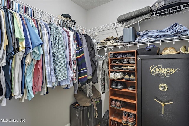 115 Victoria Pl, Brandon, MS 39042 - view of walk in closet