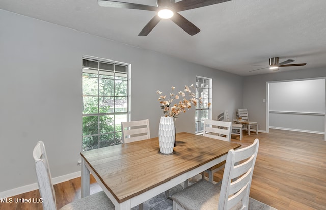 114 Fern Valley Rd, Brandon, MS 39042 - dining space with ceiling fan, light wood-style flooring, and baseboards