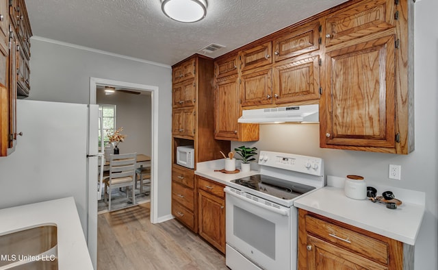 114 Fern Valley Rd, Brandon, MS 39042 - kitchen featuring white appliances, under cabinet range hood, light wood finished floors, light countertops, and a textured ceiling