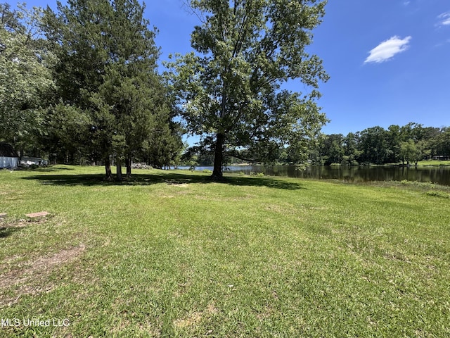 206 C St, Brandon, MS 39042 - view of green lawn with a water view