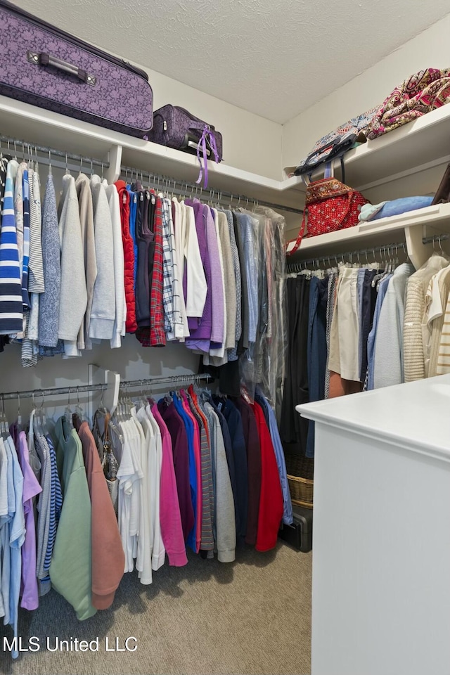 walk in closet featuring carpet