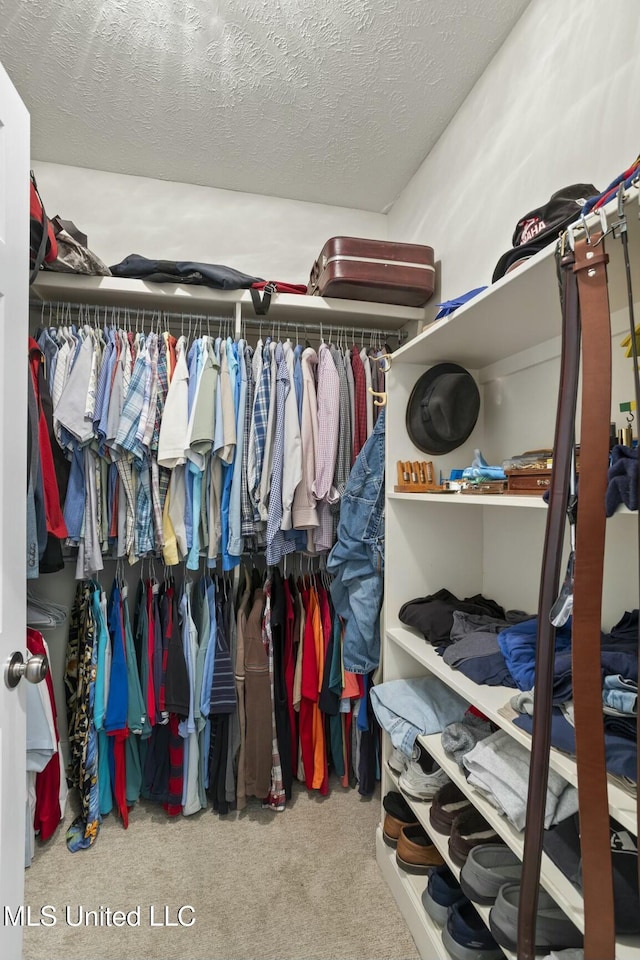 spacious closet with carpet flooring