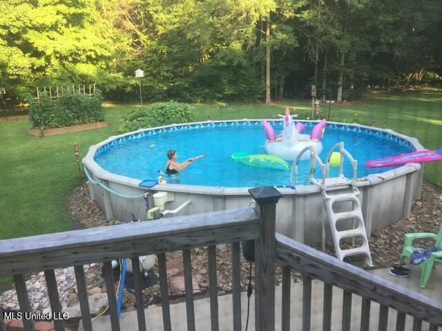 view of pool with a yard