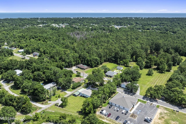 866 Washington St, Bay Saint Louis, MS 39520 - aerial view of property's location featuring a forest and a nearby body of water
