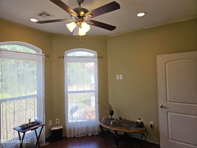 interior space featuring ceiling fan, wood-type flooring, and a wealth of natural light