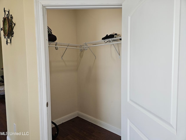 view of closet