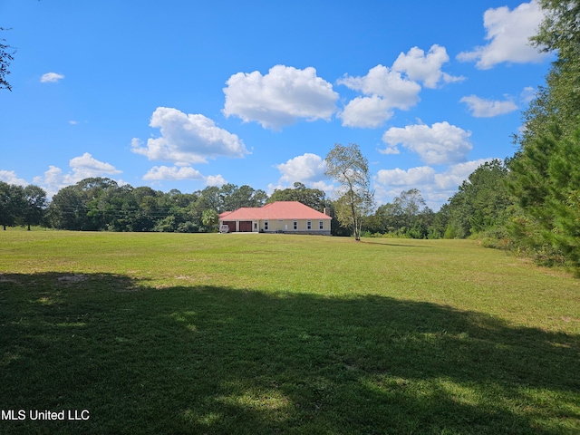 view of yard with a rural view