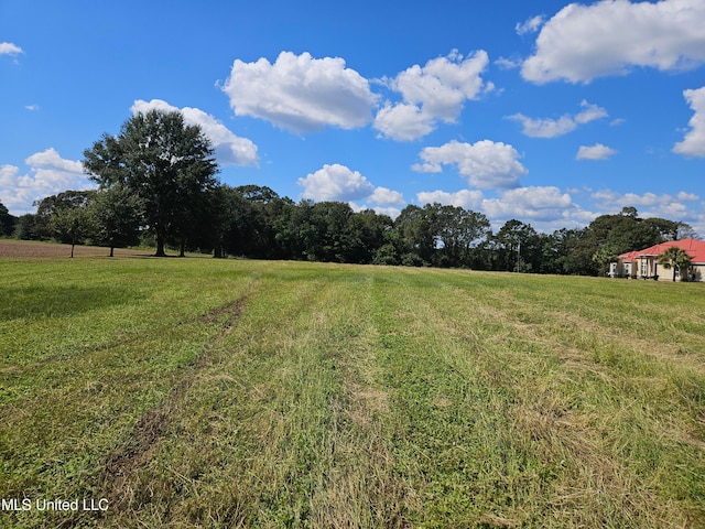 view of yard featuring a rural view