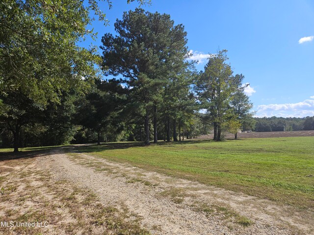 view of road