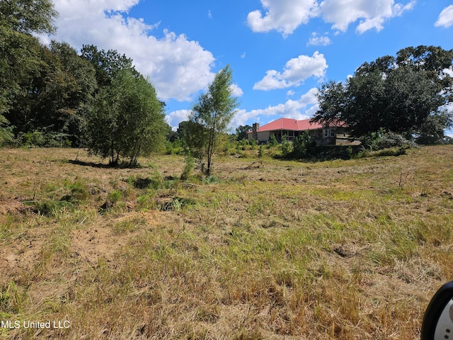 view of local wilderness with a rural view