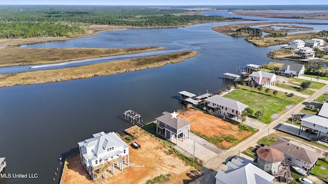 bird's eye view featuring a water view and a forest view