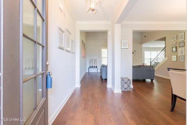 corridor featuring crown molding and dark hardwood / wood-style flooring