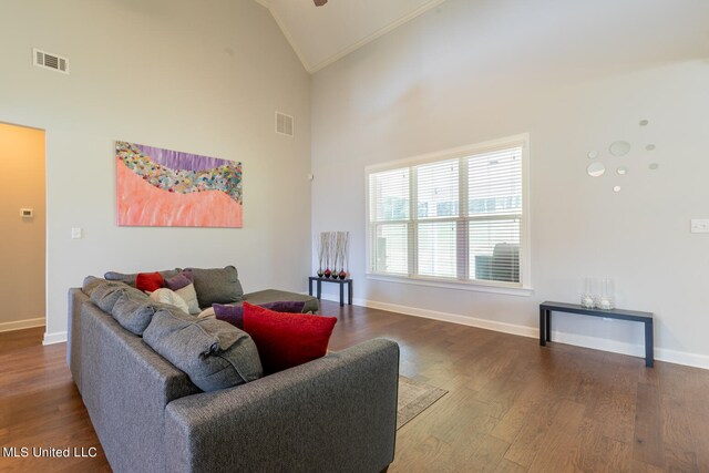 living room with high vaulted ceiling and dark hardwood / wood-style floors