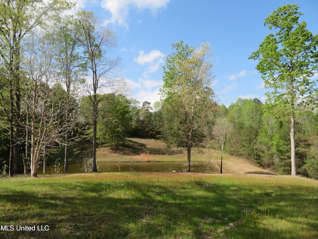 Mitchum Bottom Rd, Meridian MS, 39301 land for sale